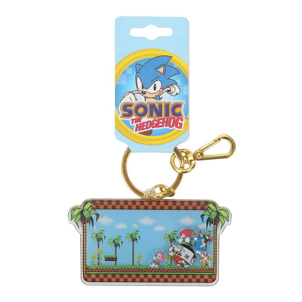 Sonic the Hedgehog Shaker Keychain