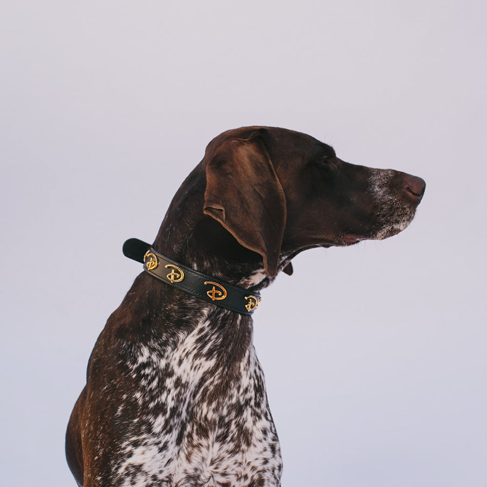 Vegan Leather Dog Collar - Disney Black PU w Gold Cast Signature D Logo Embellishments