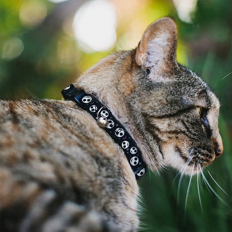 Breakaway Cat Collar with Bell - The Nightmare Before Christmas Smiling Jack Moon and Stars Black