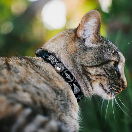 Breakaway Cat Collar with Bell - Star Wars Ships and Vehicles Black/Grays