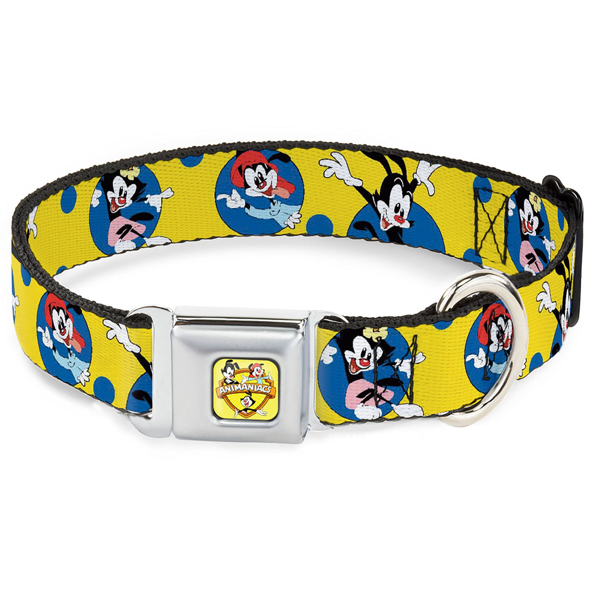 ANIMANIACS Title Logo Full Color Yellow Seatbelt Buckle Collar - Animaniacs Yakko Wakko and Dot Poses Yellow/Blue