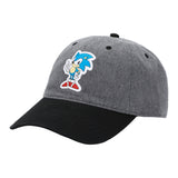 Sonic the Hedgehog Classic Patch Hat