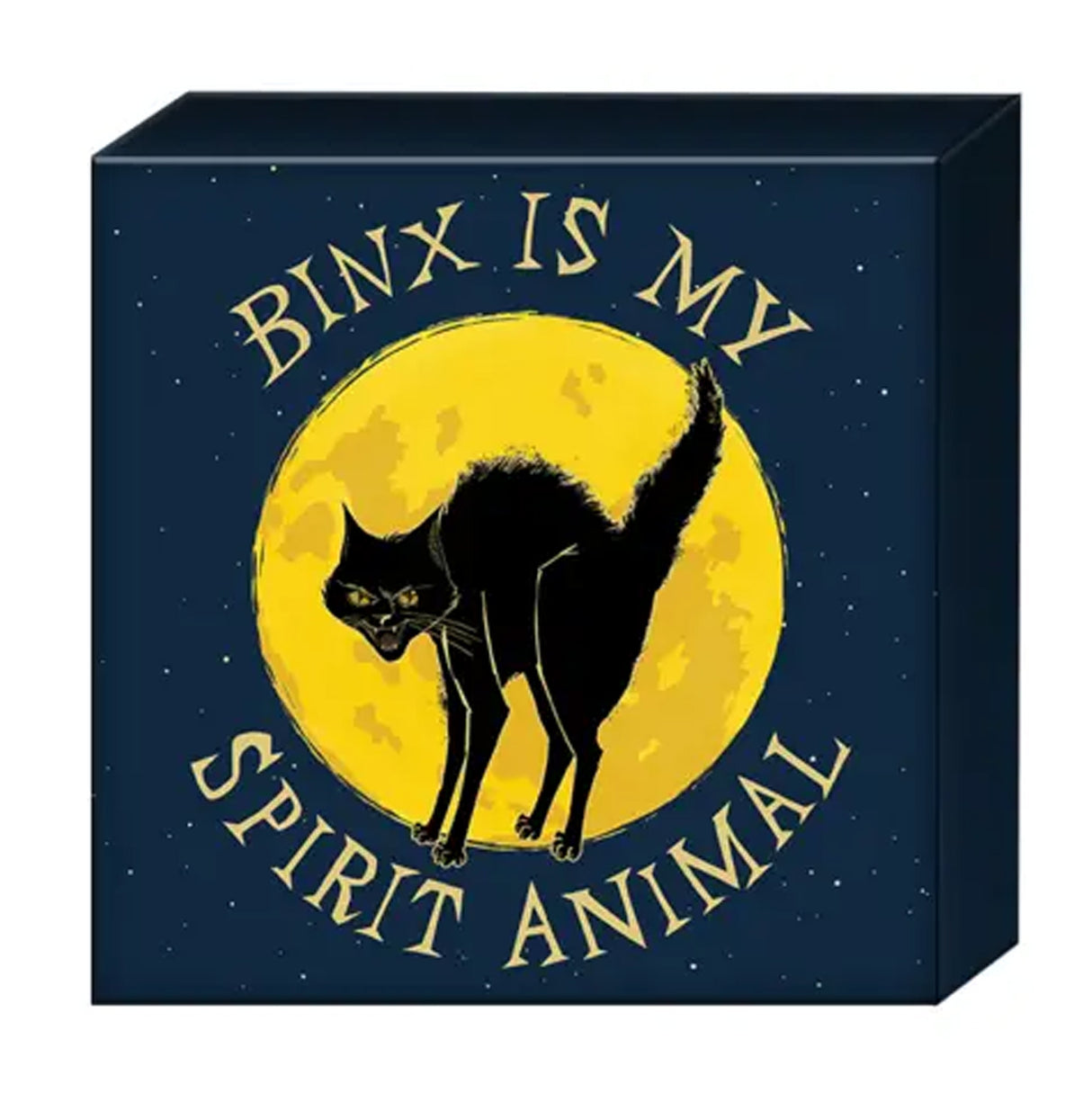 Hocus Pocus Binx Spirit Animal 6" X 6" X 1.5" Box Wall Sign