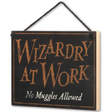 Wizards Welcome Double Sided Wall Decor with Hanger