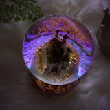 Disney Princess Castle Light-Up Snow Globe