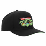 Teenage Mutant Ninja Turtles Heroes Pre-Curved Bill Snapback