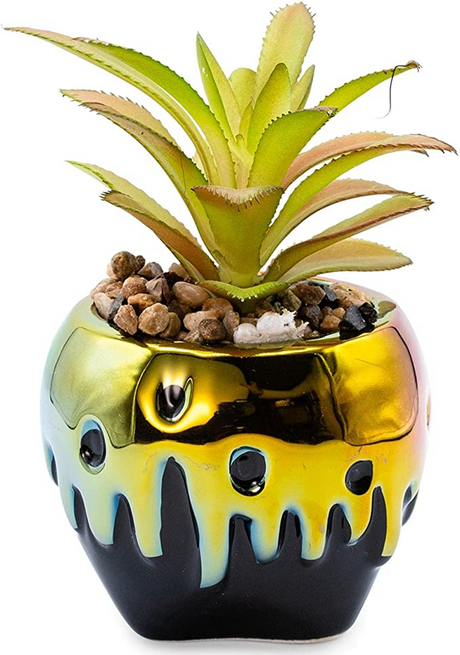 Disney Villains Evil Queen Poison Apple Ceramic Planter with Artificial Succulent