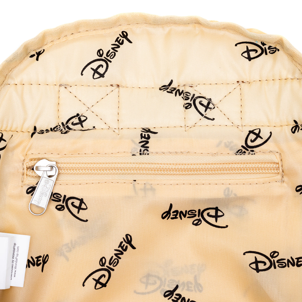 Disney Frozen Park Day Nylon Mini Backpack