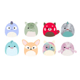 Squishmallow - 2.5" Mystery Mini Plush Animals