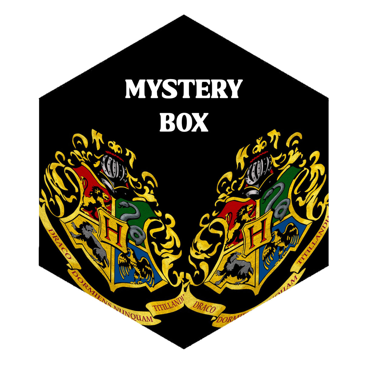 Harry Potter Mystery Box