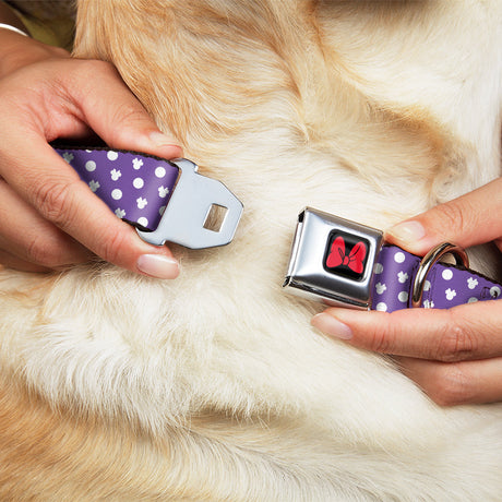 Dog Collar DYYR-Minnie Mouse Bow Full Color Black/Red - Minnie Mouse Ears Monogram/Dots Purple/White