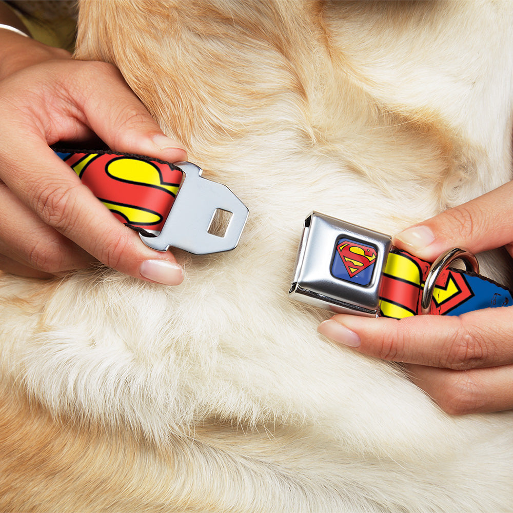 Superman Blue Seatbelt Buckle Collar - Superman Shield CLOSE-UP Blue/Red/Yellow