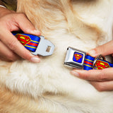 Superman Full Color Blue Seatbelt Buckle Collar - SUPERMAN/Shield Stripe Blue/Yellow/Red