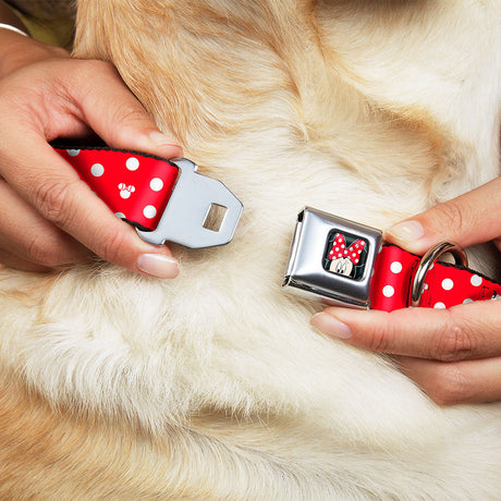 Minnie Mouse Red And White Polka Dot Dog Collar