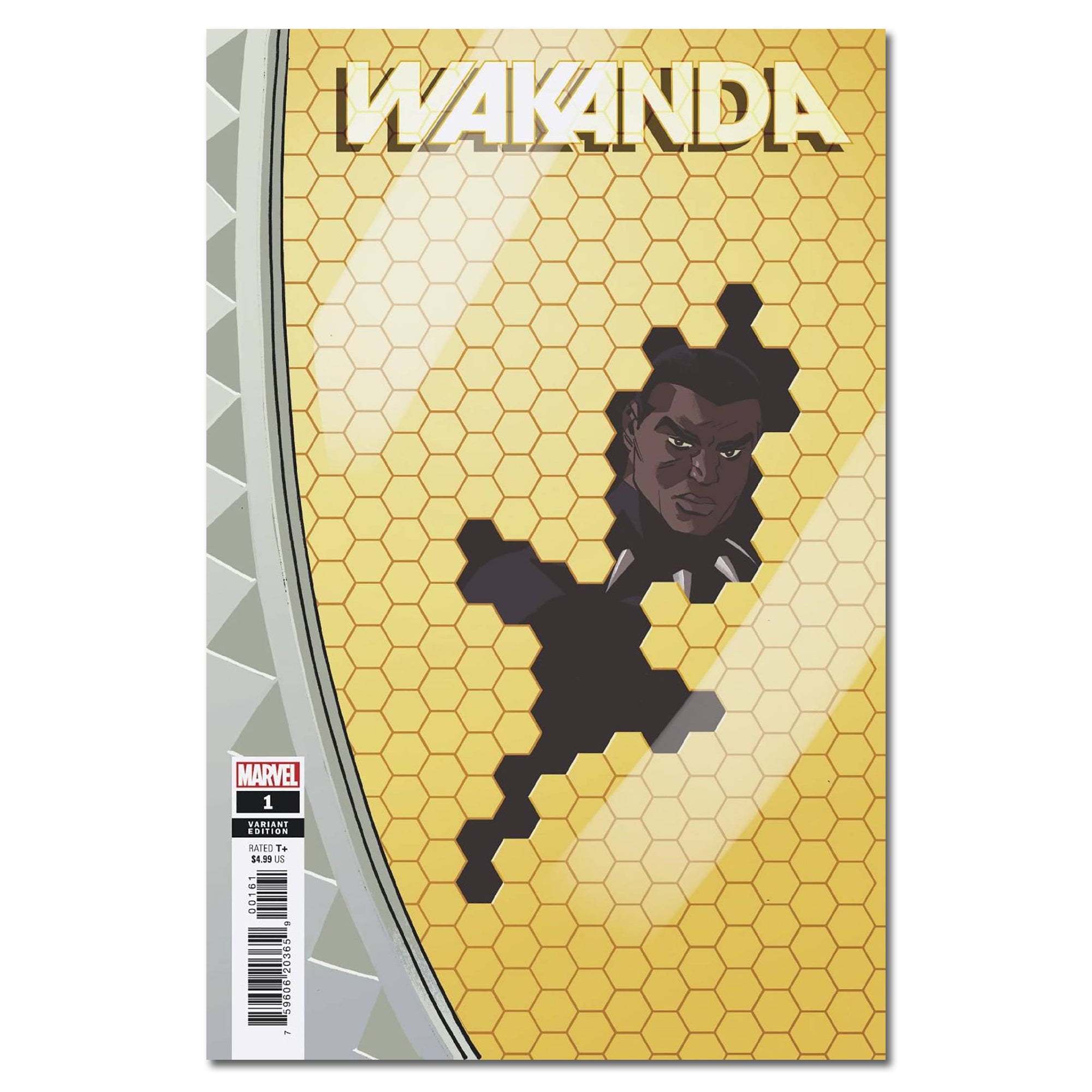 Wakanda #1 (of 5) Cover Variant REILLY